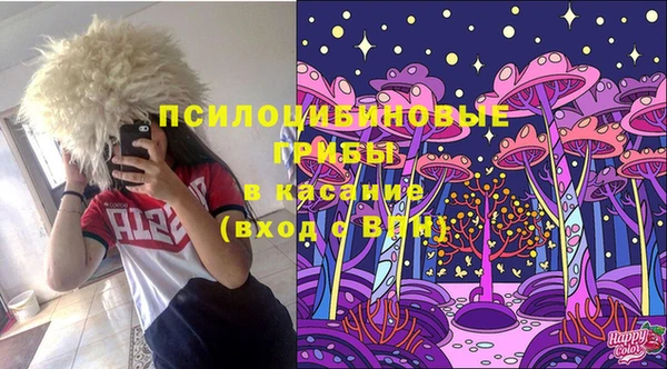 крисы Алексин