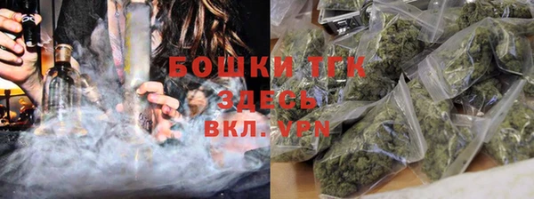 прущие грибы Снежинск