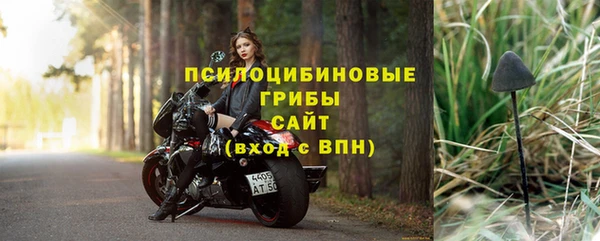 крисы Алексин